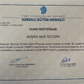 Resmi büyüt: certificate 1