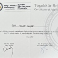 Resmi büyüt: certificate 23