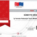 Resmi büyüt: certificate 25
