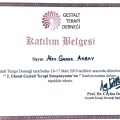 Resmi büyüt: certificate 31