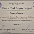 Resmi büyüt: certificate 7