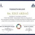 Resmi büyüt: certificate 3