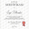 Resmi büyüt: certificate 9