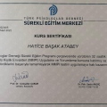 Resmi büyüt: certificate 8