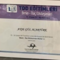 Resmi büyüt: certificate 20