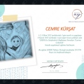 Resmi büyüt: certificate 1