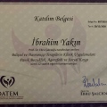 Resmi büyüt: certificate 6