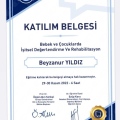 Resmi büyüt: certificate 5