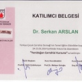 Resmi büyüt: certificate 32