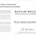 Resmi büyüt: certificate 22