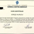 Resmi büyüt: certificate 6