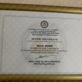 Resmi büyüt: certificate 35