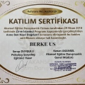 Resmi büyüt: certificate 2