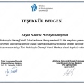 Resmi büyüt: certificate 1