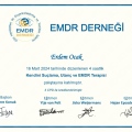 Resmi büyüt: certificate 4
