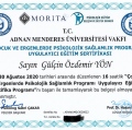 Resmi büyüt: certificate 17