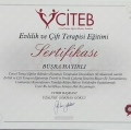 Resmi büyüt: certificate 24