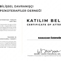 Resmi büyüt: certificate 7