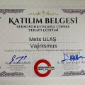 Resmi büyüt: certificate 29