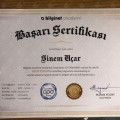 Resmi büyüt: certificate 1
