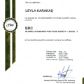 Resmi büyüt: certificate 6