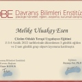 Resmi büyüt: certificate 16