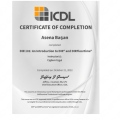 Resmi büyüt: certificate 13