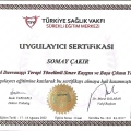 Resmi büyüt: certificate 10