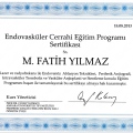 Resmi büyüt: certificate 1