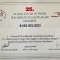 Resmi büyüt: certificate 5