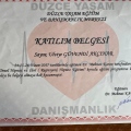 Resmi büyüt: certificate 20