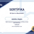 Resmi büyüt: certificate 14