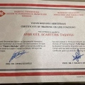 Resmi büyüt: certificate 10