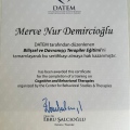Resmi büyüt: certificate 17