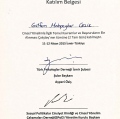 Resmi büyüt: certificate 2