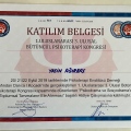 Resmi büyüt: certificate 12