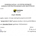Resmi büyüt: certificate 1