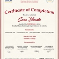 Resmi büyüt: certificate 15
