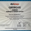 Resmi büyüt: certificate 16