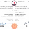 Resmi büyüt: certificate 7