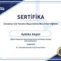 Resmi büyüt: certificate 11