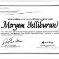 Resmi büyüt: certificate 1