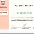 Resmi büyüt: certificate 24