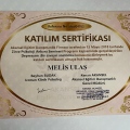 Resmi büyüt: certificate 2