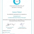 Resmi büyüt: certificate 7