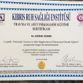 Resmi büyüt: certificate 2