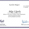 Resmi büyüt: certificate 11