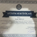 Resmi büyüt: certificate 4