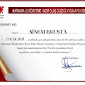 Resmi büyüt: certificate 12
