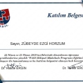 Resmi büyüt: certificate 14